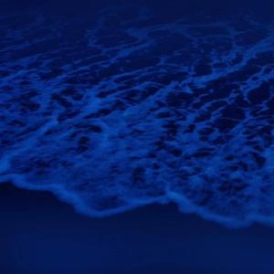 国产激情在线观看
