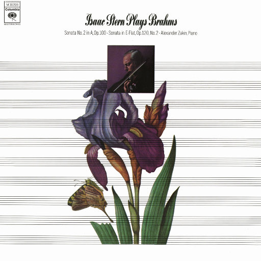 国产激情在线观看
